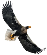 Vision on Christianity